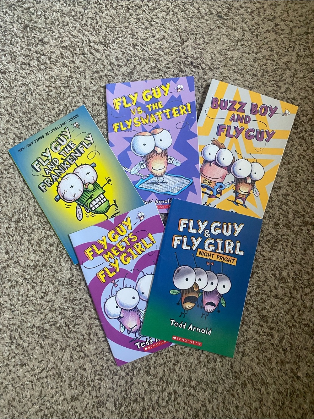 Scholastic Fly Guy Book Bundle